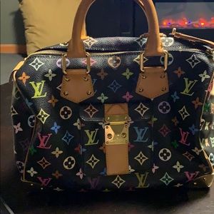 Louis Vuitton multi color Speedy Bag
